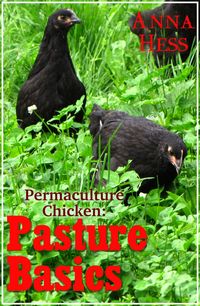 Produktbild: Pasture Basics