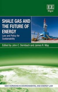 Produktbild: Shale Gas and the Future of Energy