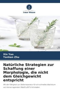 Produktbild: Nat&uuml;rliche Strategien zur Schaffung einer Morphologie, die nicht dem Gleichgewicht entspricht