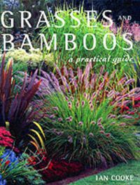 Produktbild: Grasses and Bamboos