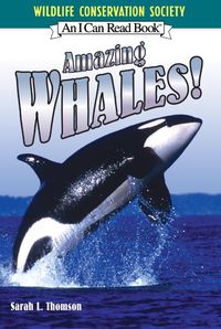 Produktbild: Amazing Whales!