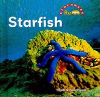 Produktbild: Benchmark Rebus: Ocean Life (6-Book Set)