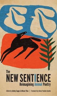 Produktbild: The New Sentience