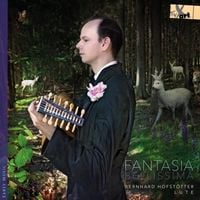 Produktbild: Fantasia Belissima-The Lviv Lute Tablature