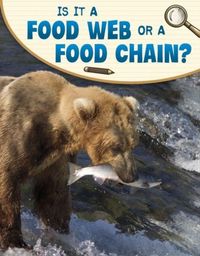 Produktbild: Is It a Food Web or a Food Chain?