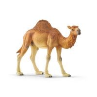 Produktbild: schleich&reg; 14832 Dromedar