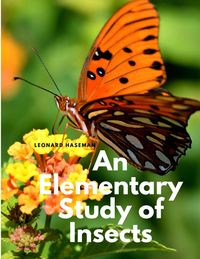 Produktbild: An Elementary Study of Insects