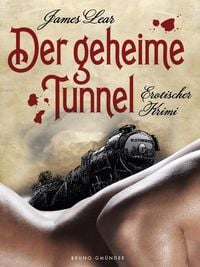 Bild vom Artikel Der geheime Tunnel vom Autor James Lear