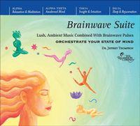 Produktbild: Brainwave Suite             4d
