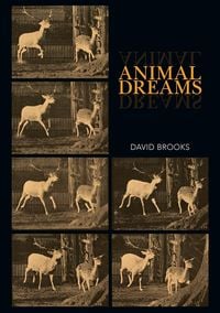 Bild vom Artikel Animal Dreams vom Autor David Brooks
