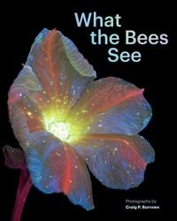 Produktbild: What the Bees See