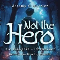 Produktbild: Not the Hero