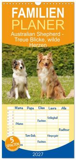 Produktbild: Familienplaner 2027 - Australian Shepherd - Treue Blicke, wilde Herzen mit 5 Spalten (Wandkalender, 21 x 45 cm) CALVENDO