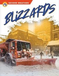 Produktbild: Blizzards