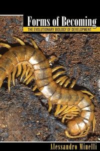 Produktbild: Minelli, A: Forms of Becoming - The Evolutionary Biology of