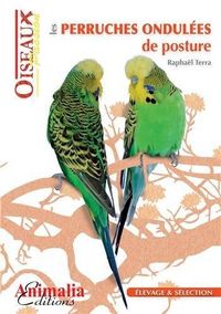 Produktbild: Perruches ondulees de posture