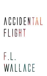 Produktbild: Accidental Flight