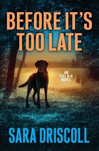 Produktbild: Driscoll, S: Before It's Too Late