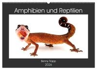 Produktbild: Amphibien und Reptilien (Wandkalender 2026 DIN A2 quer), CALVENDO Monatskalender