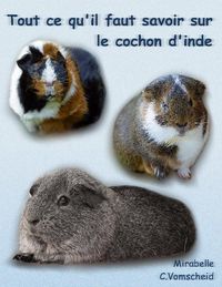 Produktbild: Tout ce qu'il faut savoir sur le cochon d'inde (nouvelle &eacute;dition)