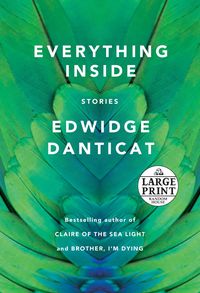 Produktbild: Everything Inside -Lp