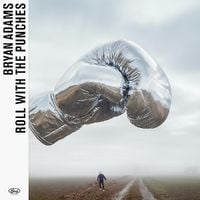 Produktbild: Roll With The Punches -Deluxe White LP+3CD Box Set