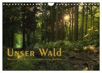 Produktbild: Unser Wald - Magische Sichten in norddeutsche W&auml;lder / Geburtstagskalender (Wandkalender 2026 DIN A4 quer), CALVENDO Monatskalender