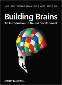 Produktbild: Building Brains
