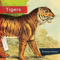 Produktbild: Tigers