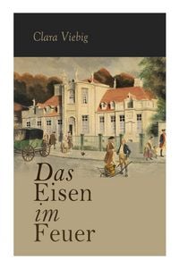 Produktbild: Das Eisen im Feuer