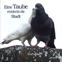 Produktbild: Eine Taube entdeckt die Stadt