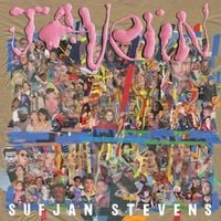 Bild vom Artikel Javelin vom Autor Sufjan Stevens