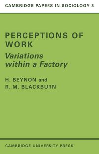 Produktbild: Perceptions of Work