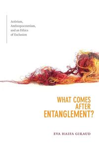 Produktbild: What Comes after Entanglement?
