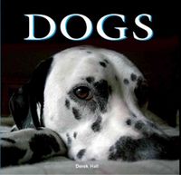 Produktbild: Dogs
