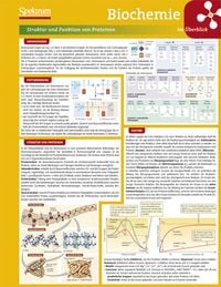 Bild vom Artikel Lerntafel: Biochemie im Überblick vom Autor 