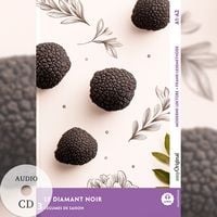 Produktbild: Le Diamant Noir - Franz&ouml;sische Krimi-Lekt&uuml;re A1-A2 (+ Audio-CD)