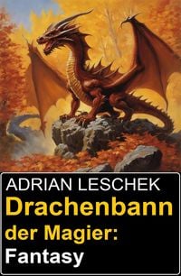 Produktbild: Drachenbann der Magier: Fantasy