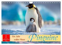 Produktbild: Pinguine - ein Jahr voller Meer (Wandkalender 2027 DIN A4 quer), CALVENDO Monatskalender