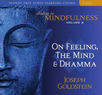 Produktbild: Abiding in Mindfulness V02  9d