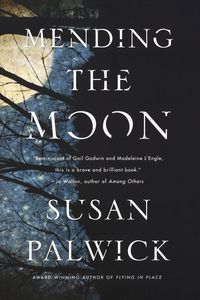 Produktbild: Mending The Moon