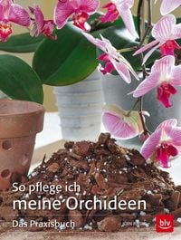 Produktbild: So pflege ich meine Orchideen