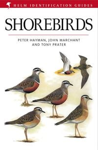 Produktbild: Shorebirds