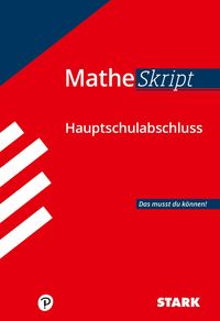 Bild vom Artikel MatheSkript - Hauptschulabschluss vom Autor Michael Heinrichs