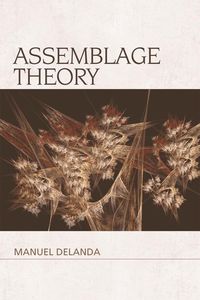 Produktbild: Assemblage Theory