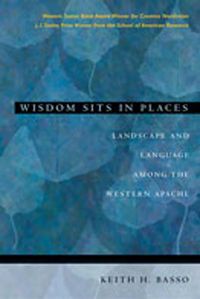 Produktbild: Wisdom Sits in Places