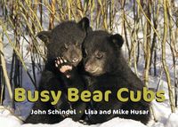 Produktbild: Busy Bear Cubs