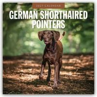 Produktbild: German Shorthaired Pointers &ndash; Deutscher Kurzhaar &ndash; Deutscher Kurzhaariger Vorstehhund 2027 &ndash; 16-Monatskalender