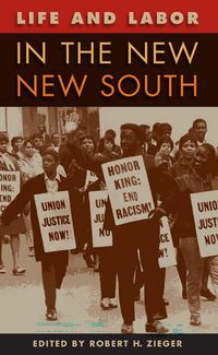 Produktbild: Life and Labor in the New New South