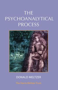 Produktbild: The Psychoanalytical Process